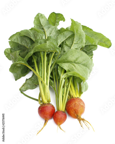 Golden Beets