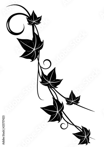 tatoo edera3