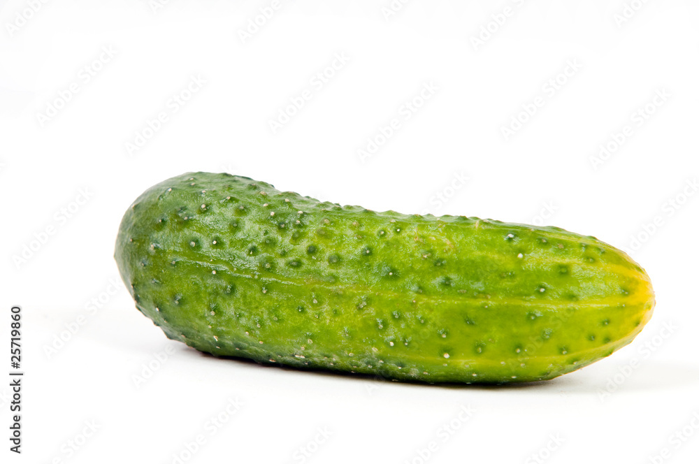 Green cucumber isolated on white background Green cucumber isolated on white background
