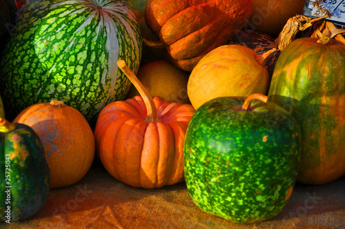 potirons - légumes de saison - automne - halloween