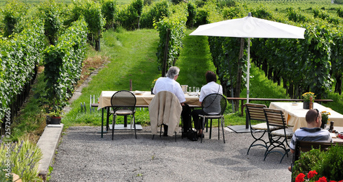 terrasse au milieu d'un vignoble photo