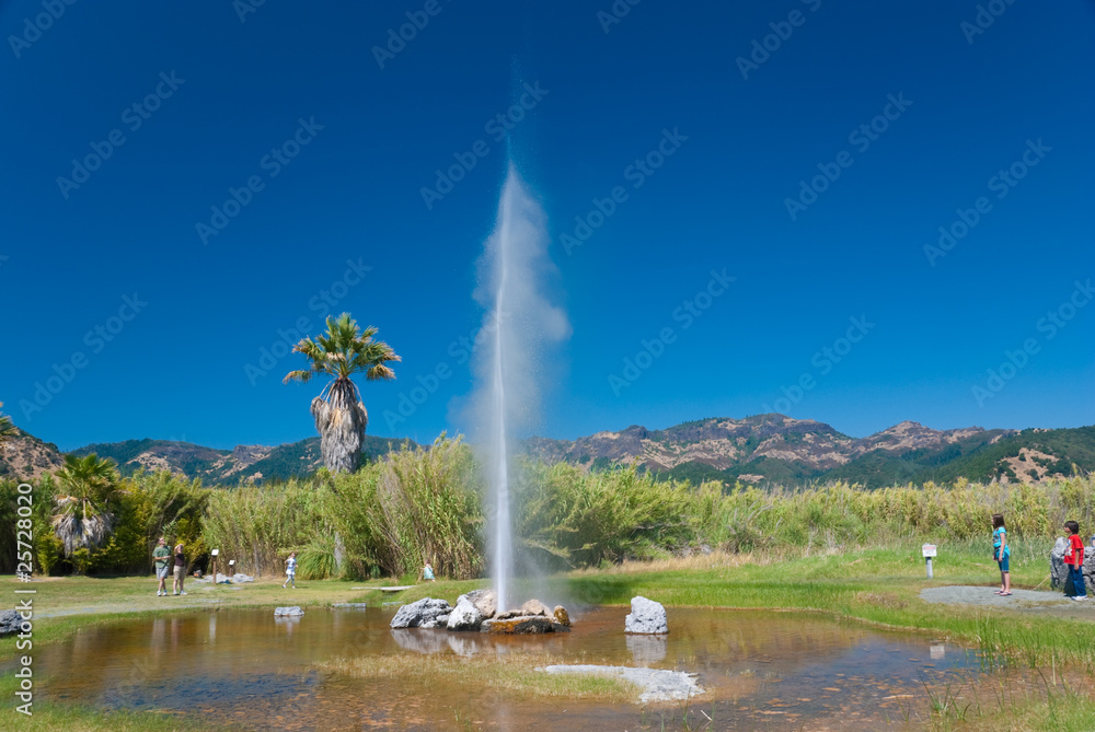 Calistoga old faithful geyser california - obrazy, fototapety, plakaty 