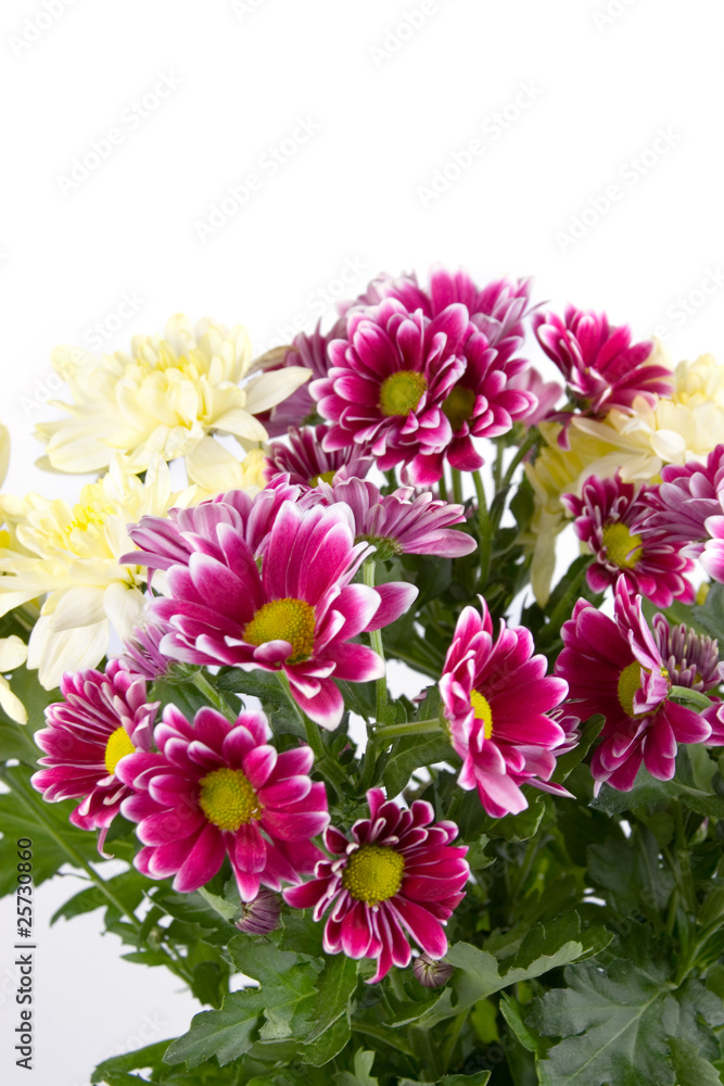 Bouquet of chrysanthemums Bouquet of chrysanthemums