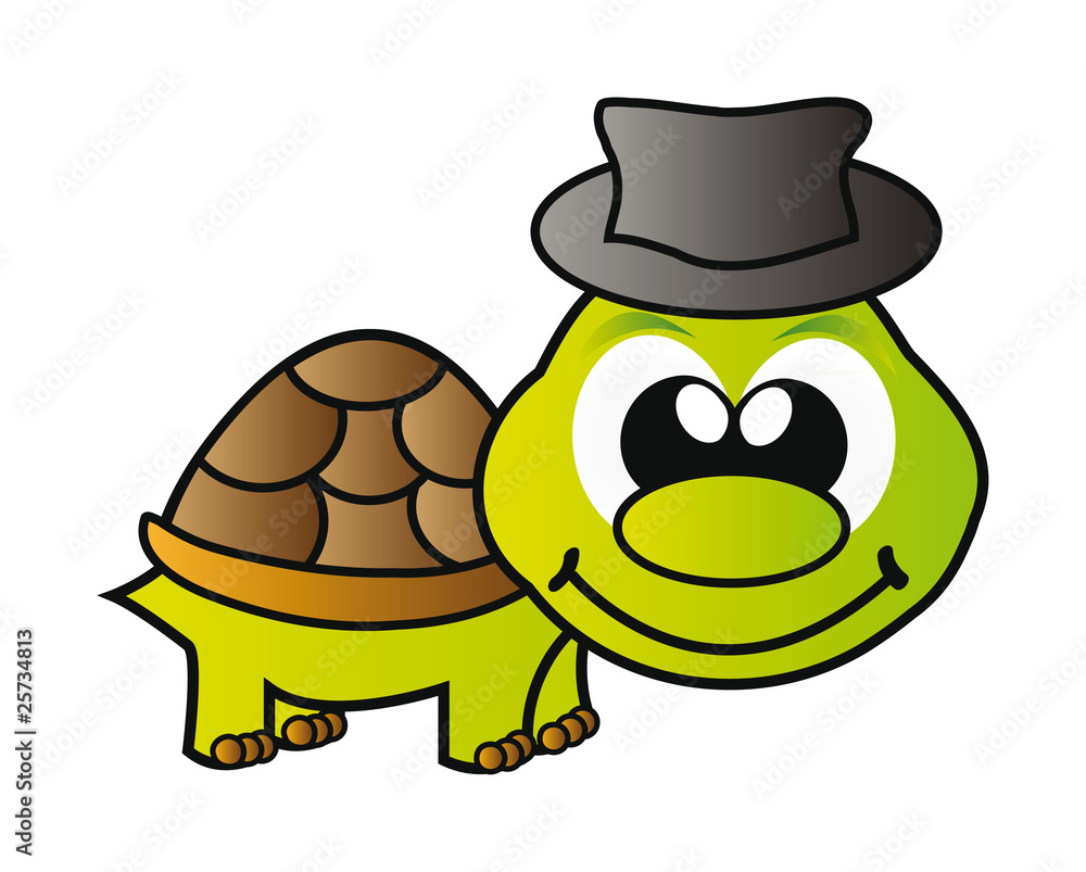 turtle turtle