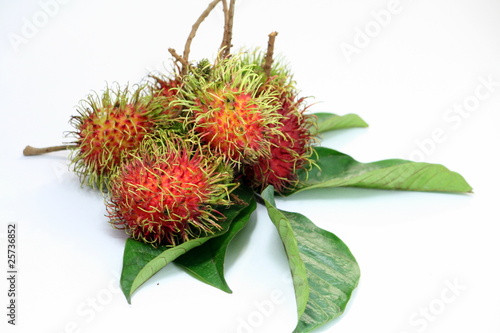 rambutan thai fruit