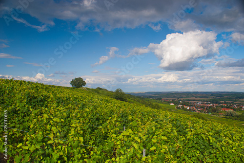 mountain view of greap yard near small european village in vine