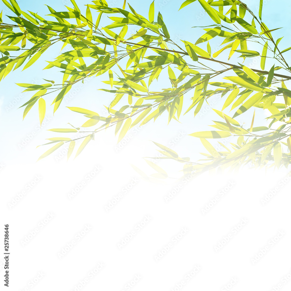 background with bamboo twig background with bamboo twig