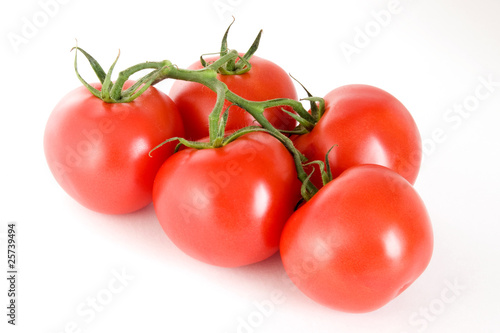 Five tomatoes on a stem