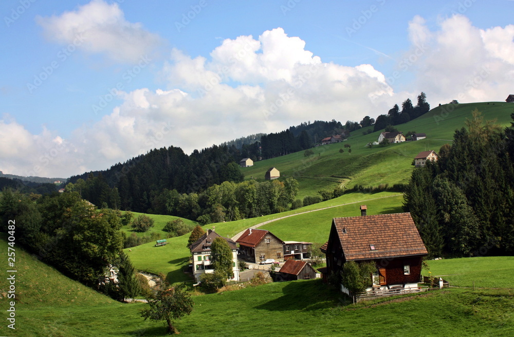 Swiss Countryside