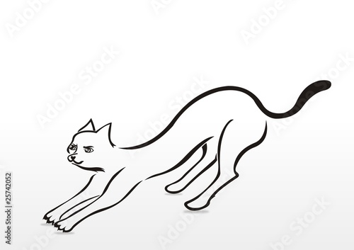 Silhouette of cat
