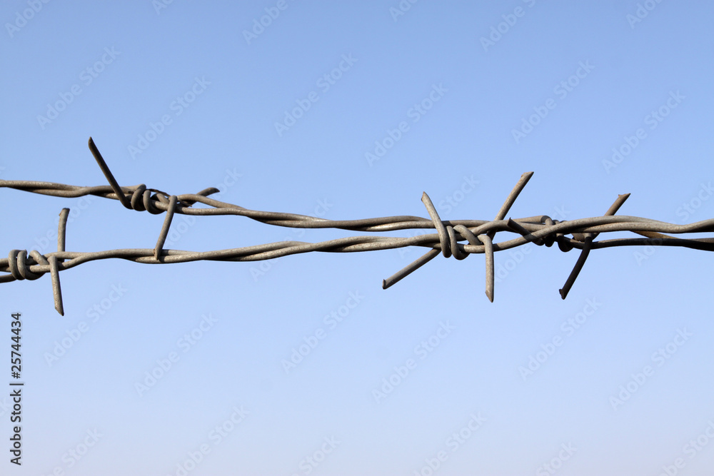 barbed wire Wire fence barbed wire Wire fence