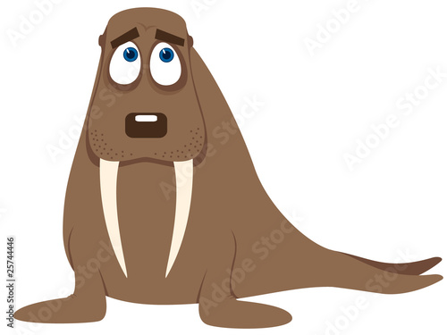 walrus