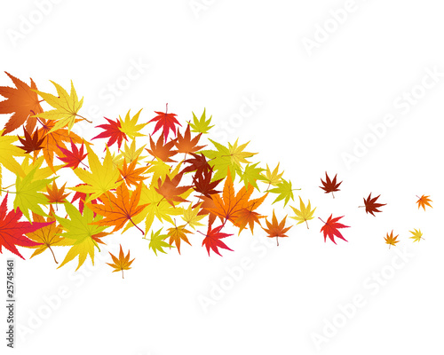 autumn leaves