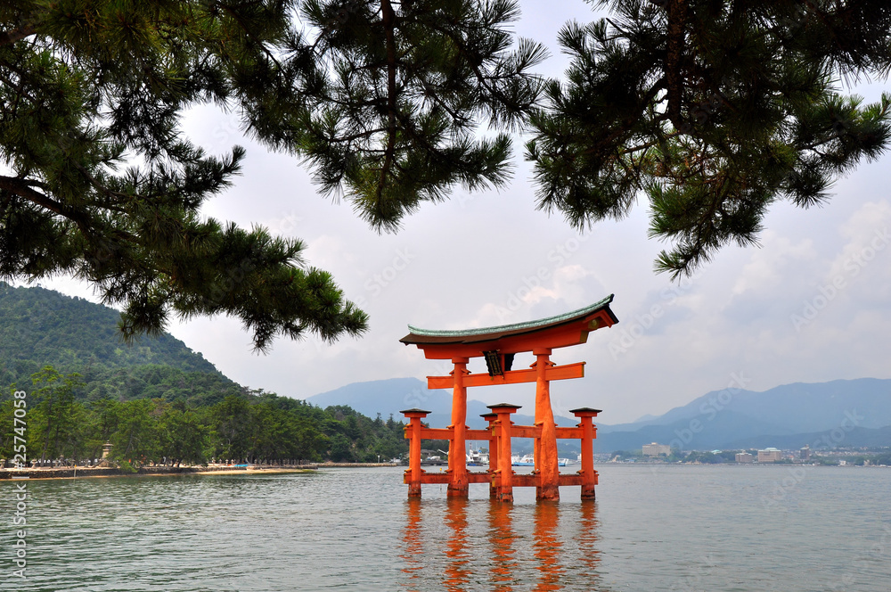 Fototapeta premium torii de miyajima 3