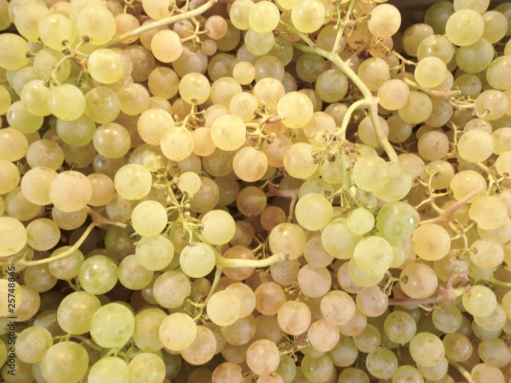 Naklejka premium Raisin blanc