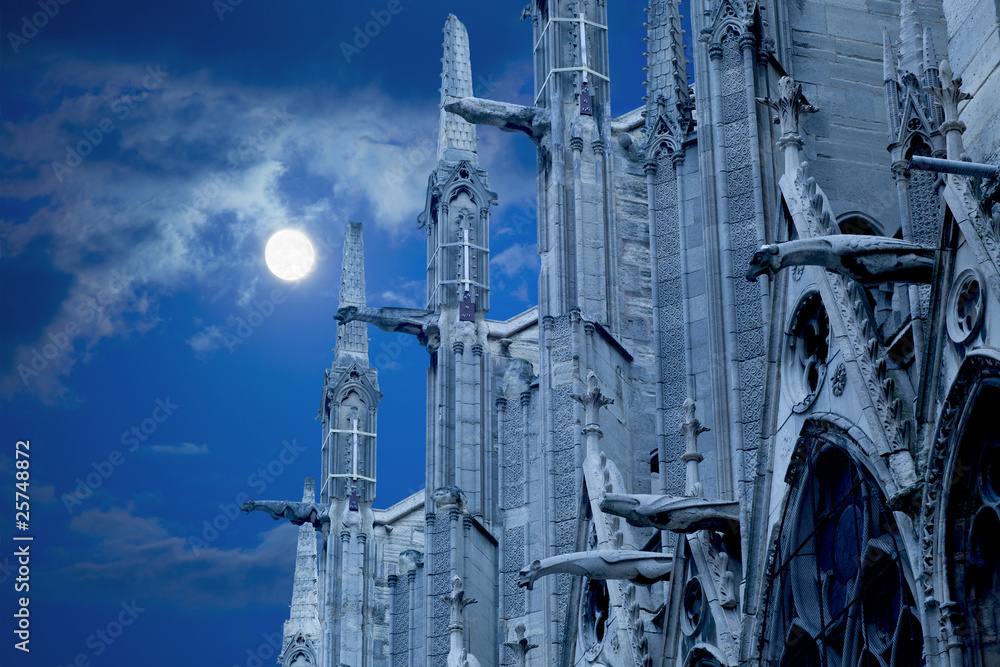 Naklejka premium Notre Dame of Paris, North facade against the moon