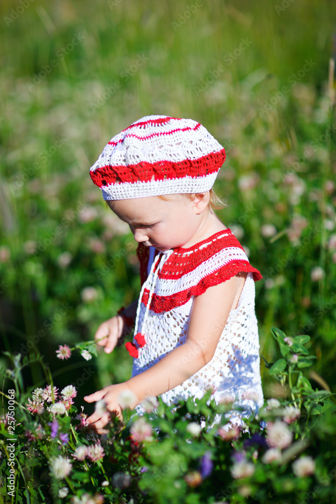 Adorable toddler girl in meadow