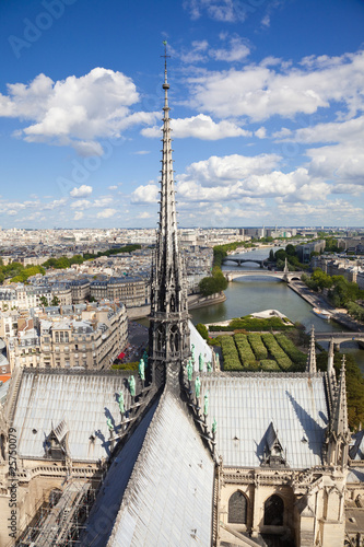 Notre Dame: The Spire overlooking the skyline of Paris