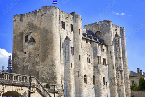 france,79,niort : donjoins jumeaux