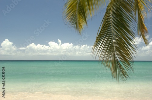 Le paradis existe en Martinique