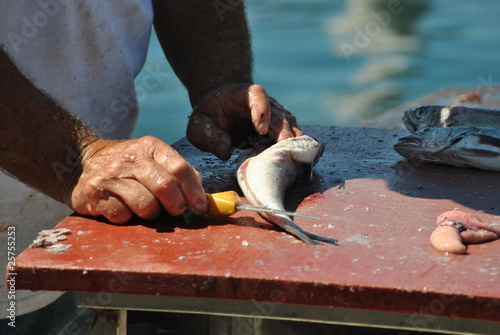 Fiserman, Marseille, France photo