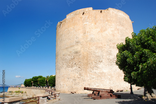 Torre de l' Espero Reial photo