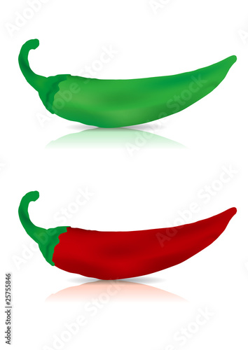 Fresh Red & Green chilly vector illustration