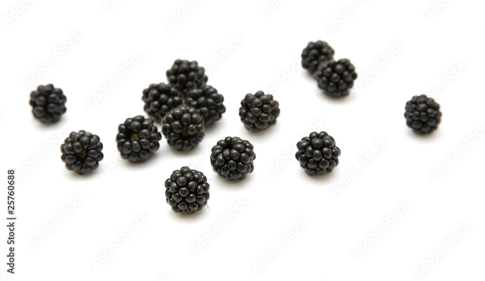 handful of ripe scattered blackberries handful of ripe scattered blackberries