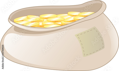 coins in bag