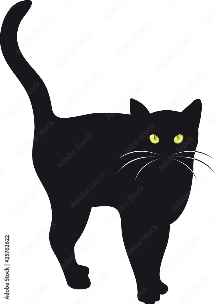 Obraz premium Black cat vector