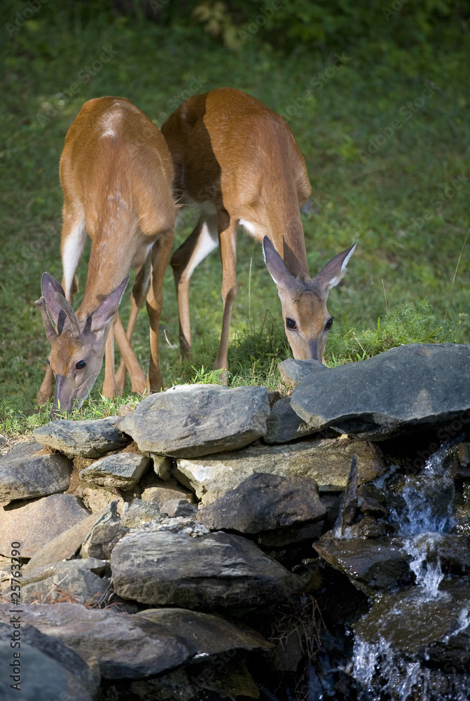 Obraz premium Waterside meal
