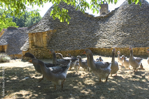 Quadro em tela Les bories du Breuil