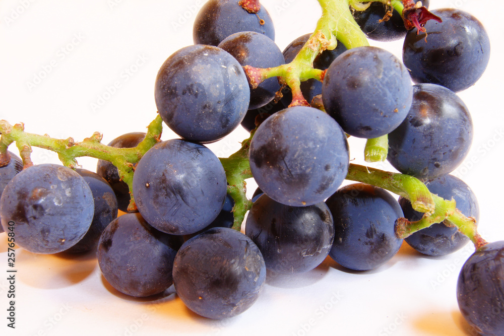 Fototapeta premium grapes