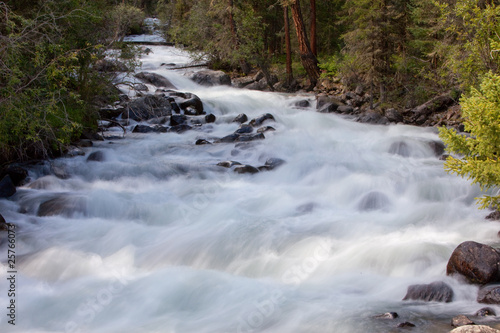 mountain river. fast stream water. summer landscape