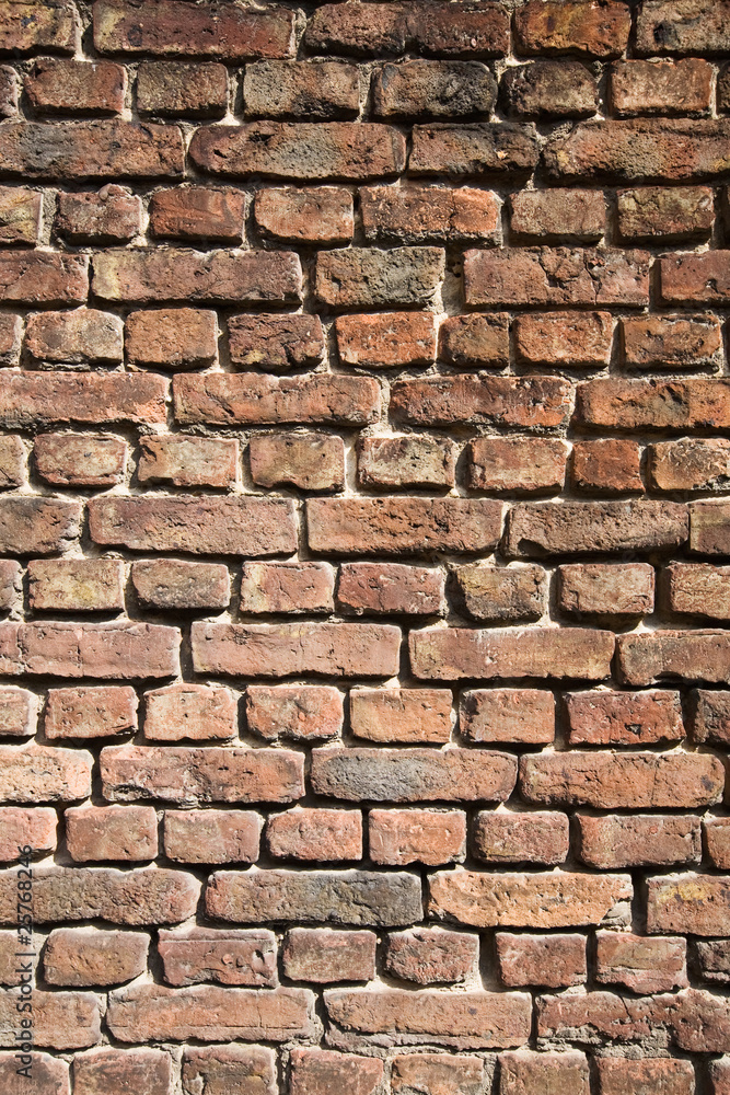 Obraz premium Ziegelmauer