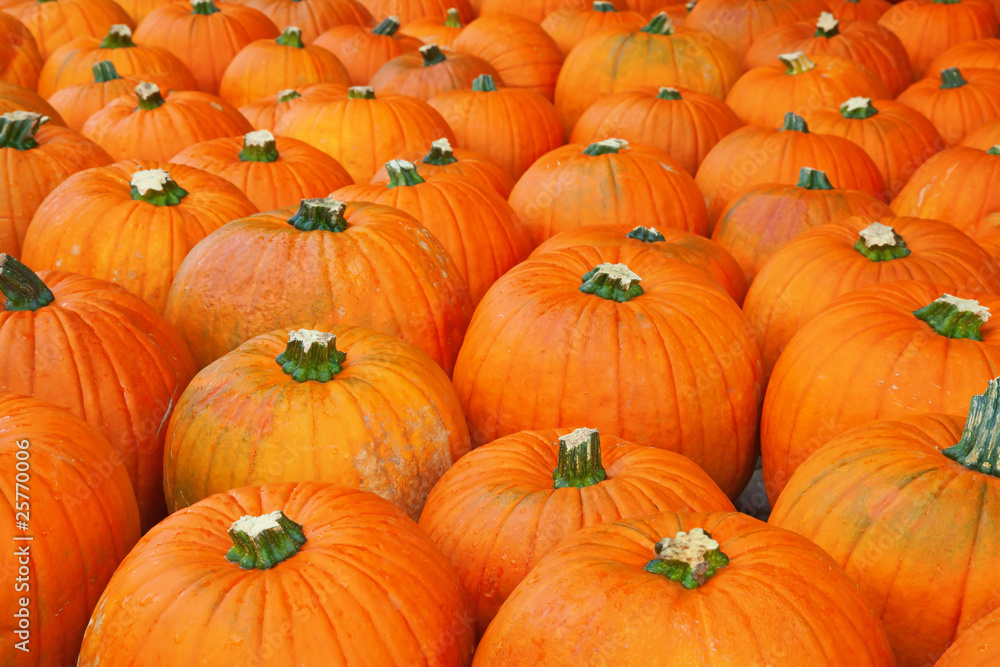 Colorful pumpkins Colorful pumpkins