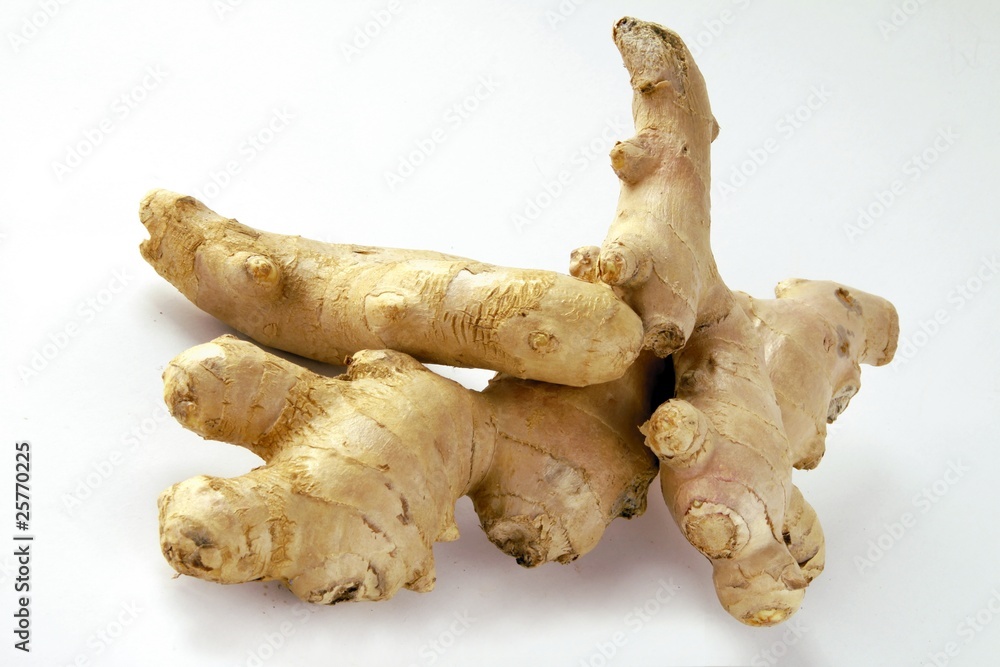 roots of ginger roots of ginger