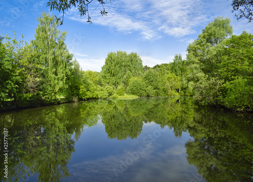 Landscape with trees  reflecting in the water