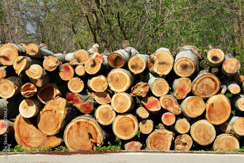 Firewood pile outdoor