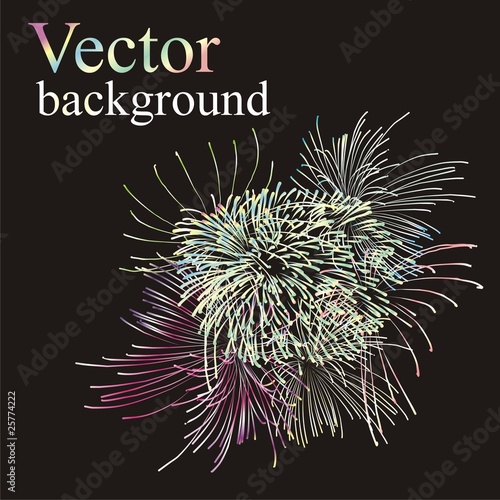 colorful vector background