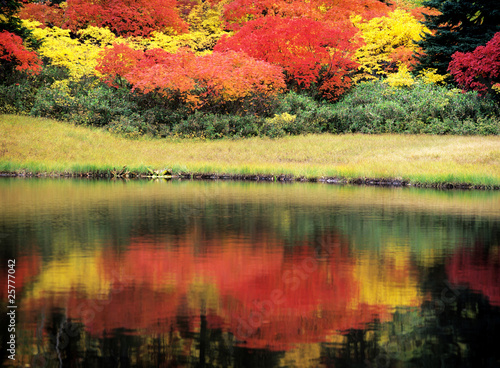 湖畔の彩り