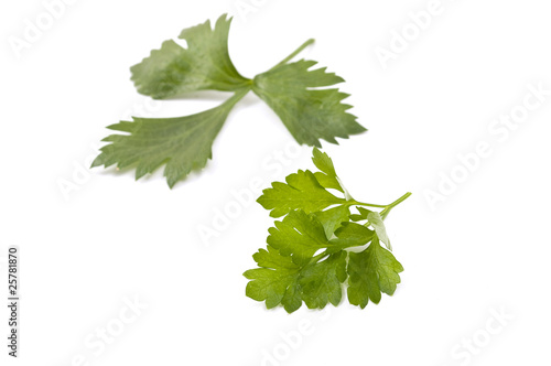 leaves of parsley and celery