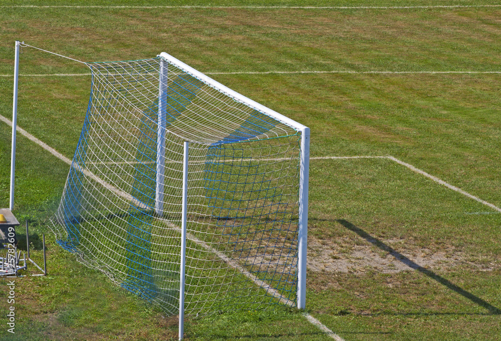 Fototapeta premium Goal