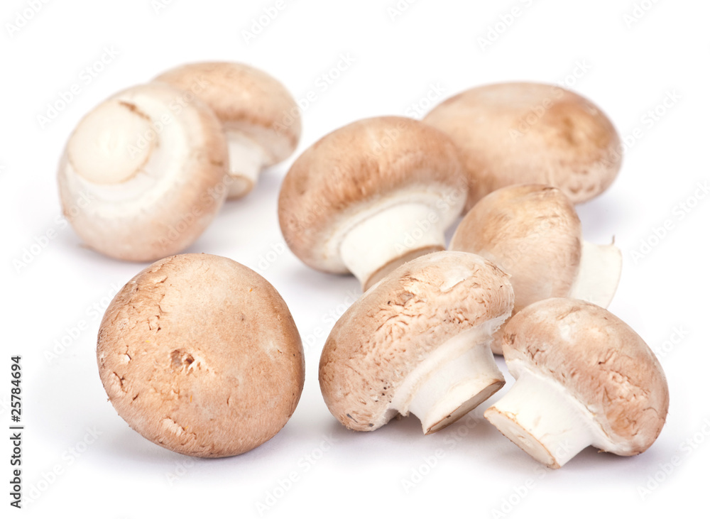 Brown mushroom Brown mushroom