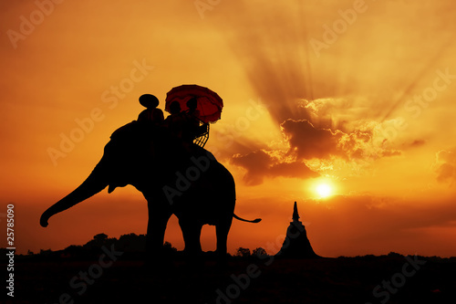 Elephant silhouette photo
