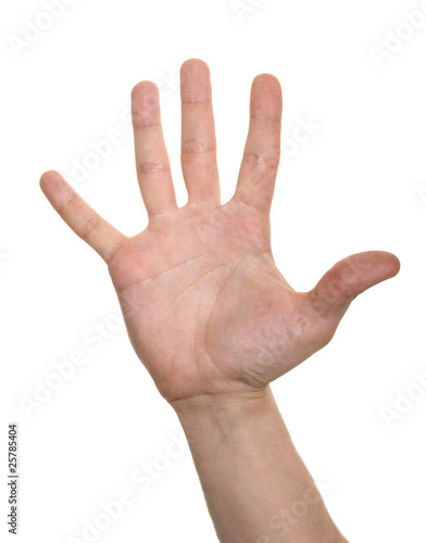 well shaped business man hand count isolated over white. five