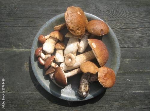 Plate full of mushrooms- boletus