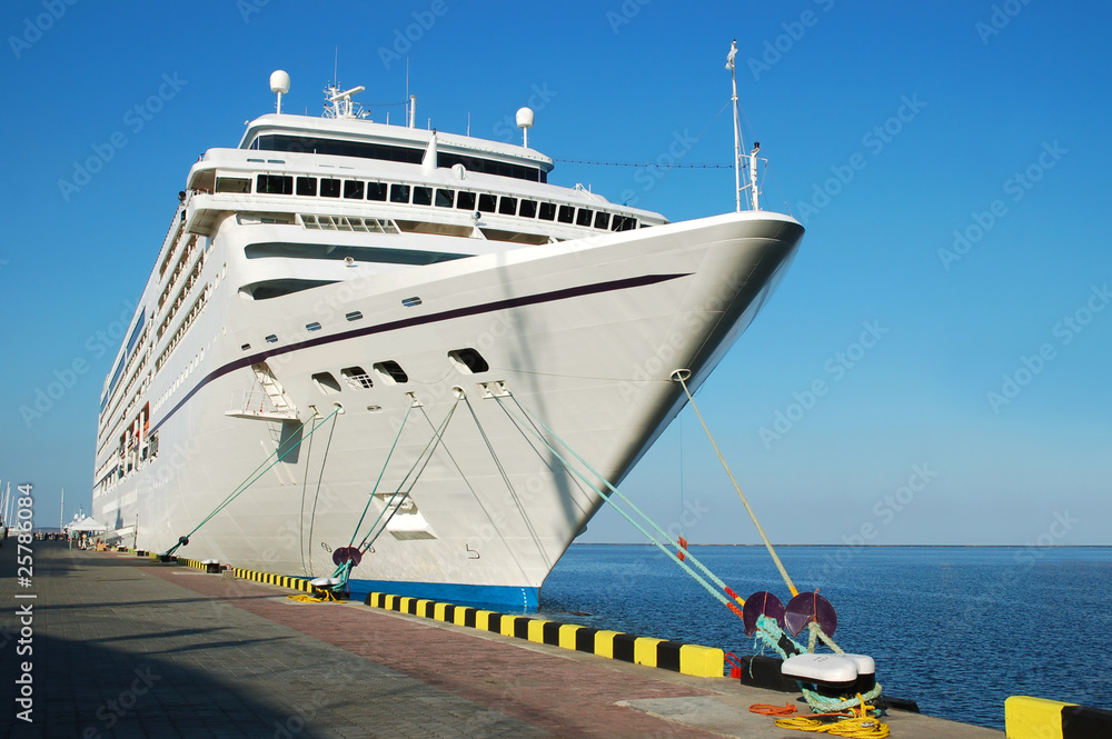 Naklejka premium Cruise ship
