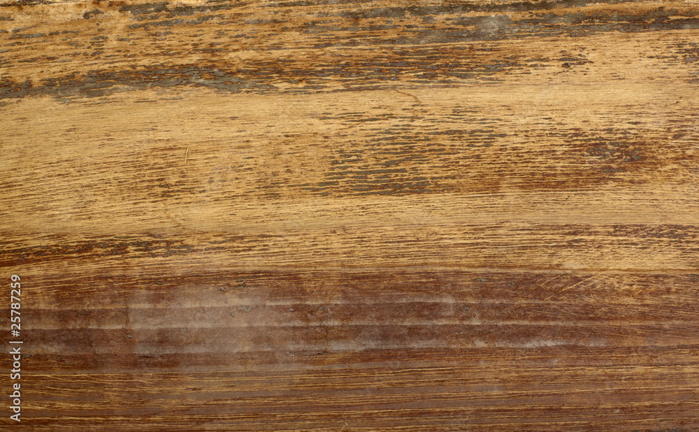 Fototapeta premium wooden background nature