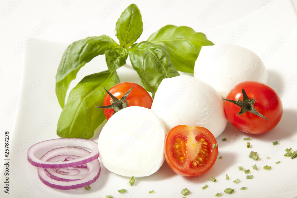 MOZZARELLA TELLER MOZZARELLA TELLER